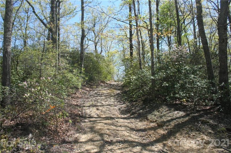 Property image 4 at 9999 Rocky Falls Drive, Black Mountain, NC 28711