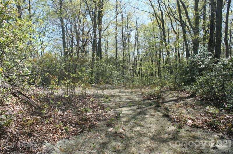 Property image 5 at 9999 Rocky Falls Drive, Black Mountain, NC 28711