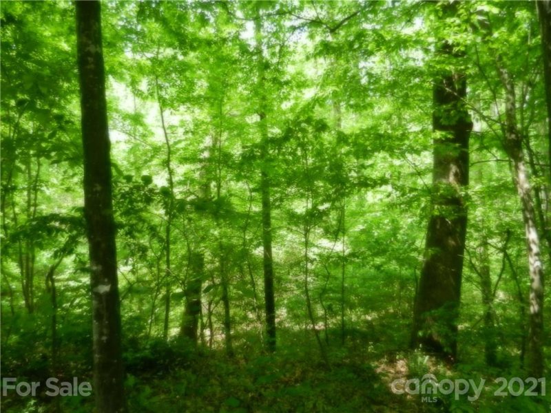 Property image 3 at 2627 Ashbourne Drive, Gastonia, NC 28056