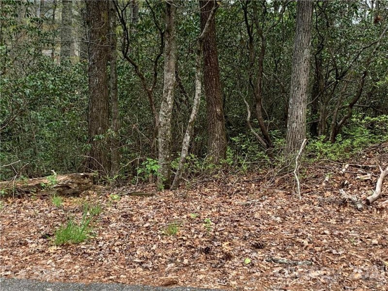 Property image 2 at Tbd Wildwood Drive, Lake Toxaway, NC 28747