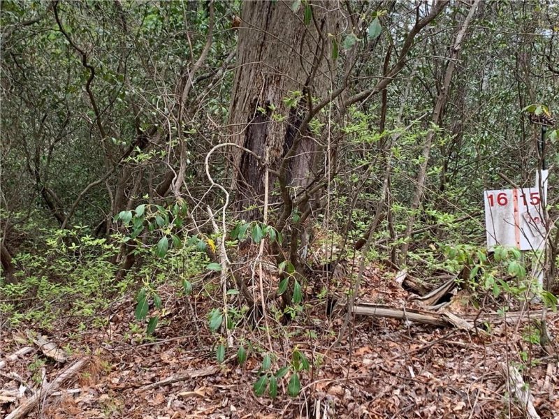 Property image 3 at Tbd Wildwood Drive, Lake Toxaway, NC 28747