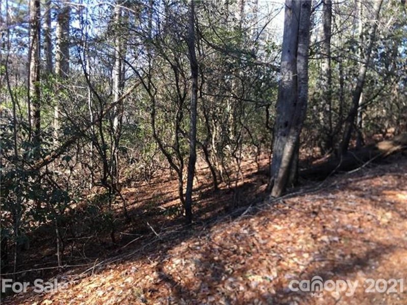 Property image 4 at Tbd Wildwood Drive, Lake Toxaway, NC 28747