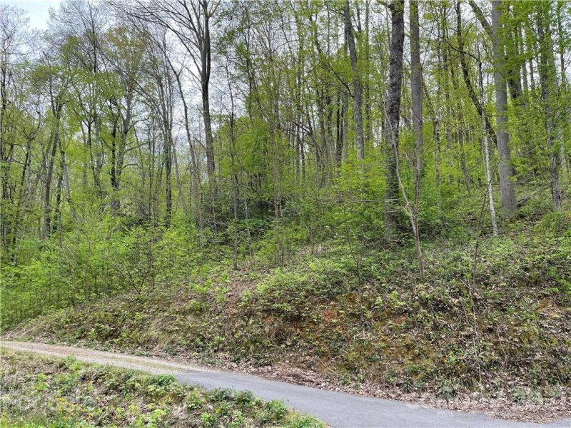 Property image 2 at 1414 Dogwood Drive, Maggie Valley, NC 28751