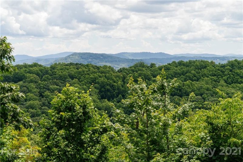 Property image 4 at 831 Sunlight Ridge Drive, Hendersonville, NC 28792