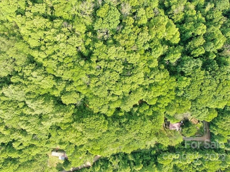 Property image 3 at Tbd Wills Way, Canton, NC 28716