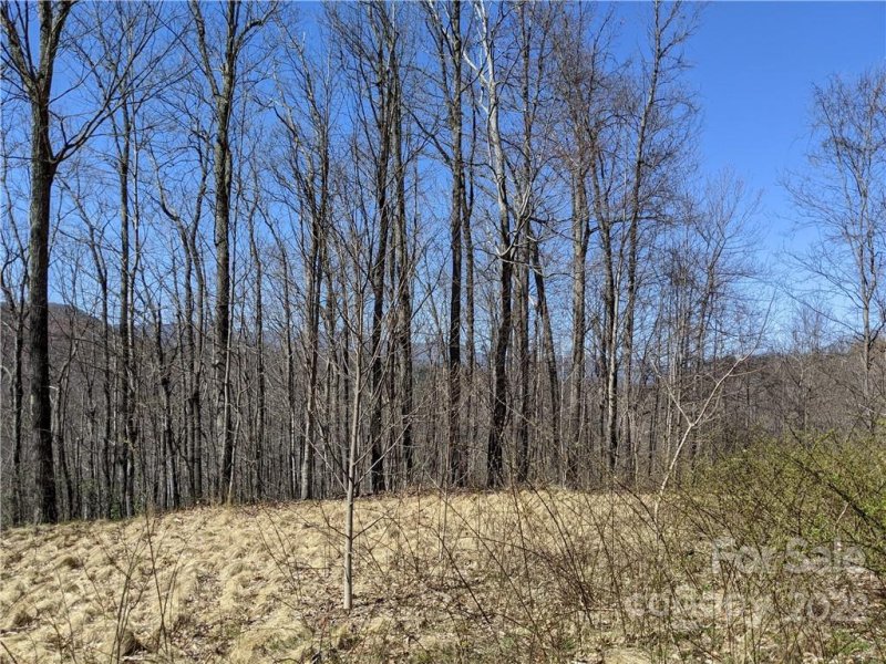 Property image 2 at 847 N Haven Drive, Black Mountain, NC 28711