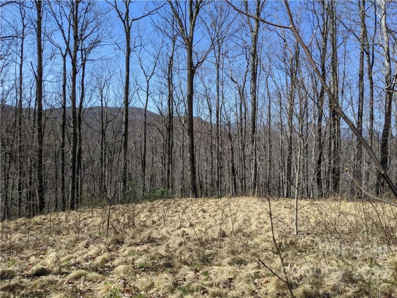 Property image 3 at 847 N Haven Drive, Black Mountain, NC 28711