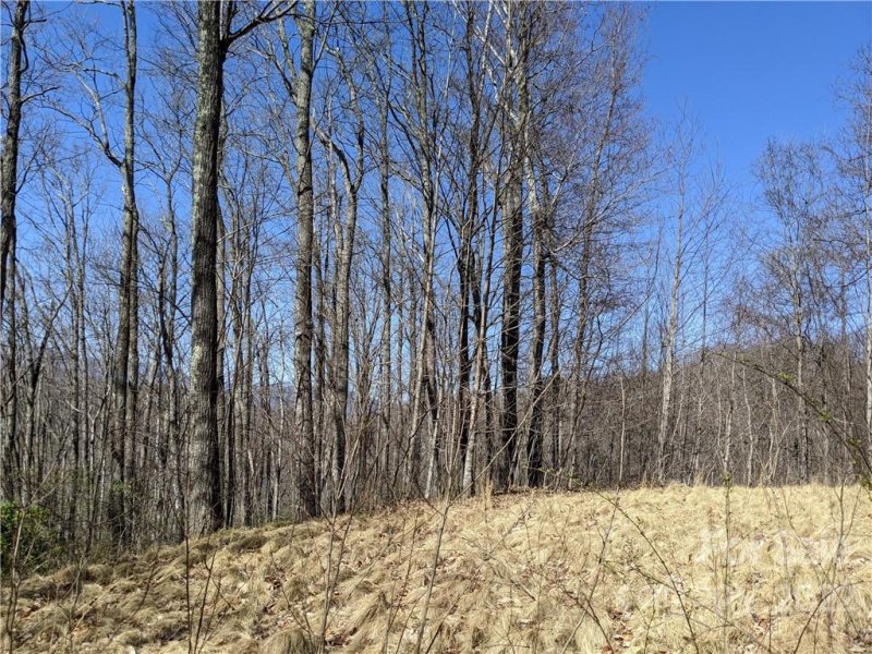 Property image 4 at 847 N Haven Drive, Black Mountain, NC 28711