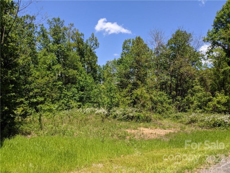 Property image 5 at 847 N Haven Drive, Black Mountain, NC 28711