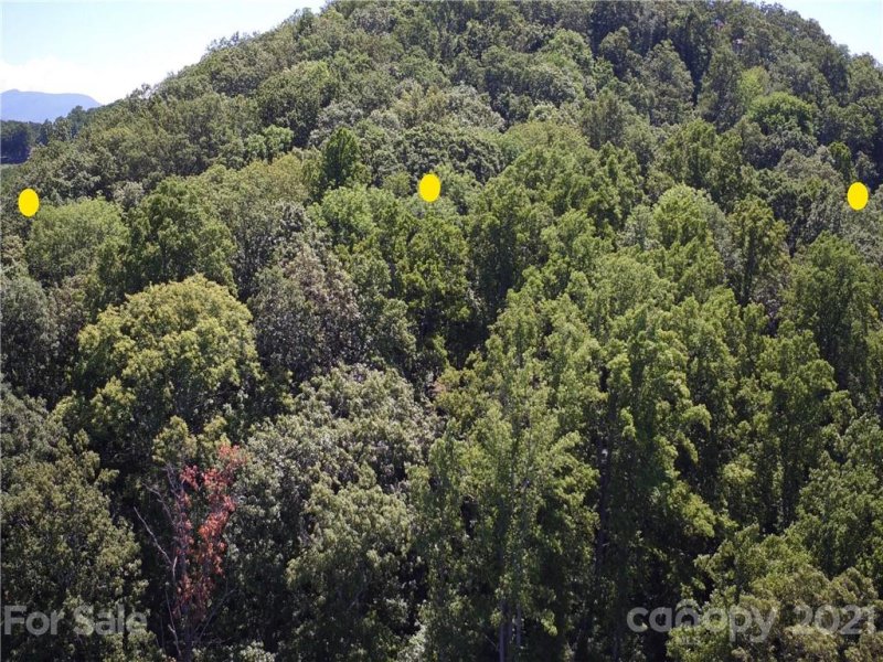 Property image 3 at 55 Skycliff Drive, Asheville, NC 28804