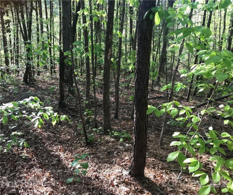 Property image 3 at 109 Big Bertha Drive, Statesville, NC 28677