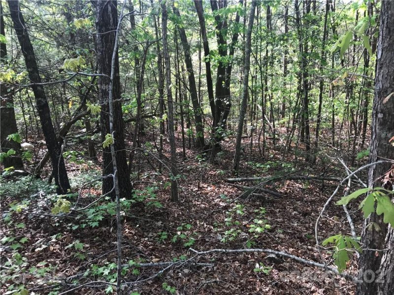 Property image 4 at 109 Big Bertha Drive, Statesville, NC 28677