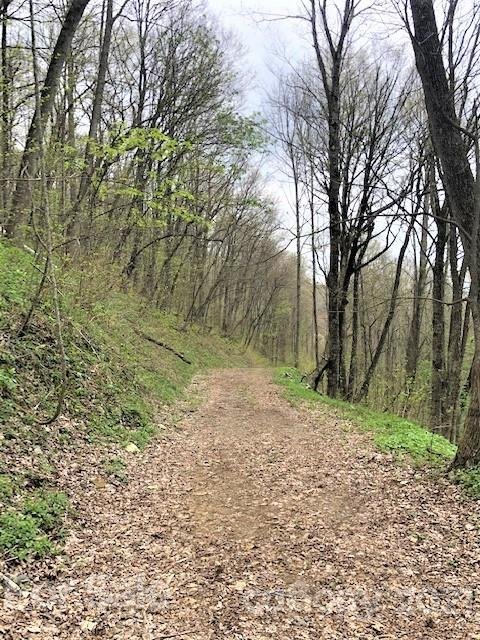 Property image 2 at Off Oswego Way, Waynesville, NC 28785