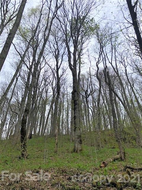 Property image 3 at Off Oswego Way, Waynesville, NC 28785