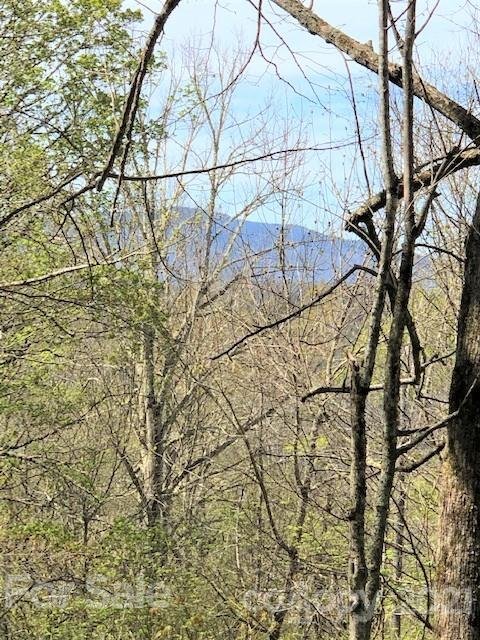 Property image 4 at Off Oswego Way, Waynesville, NC 28785