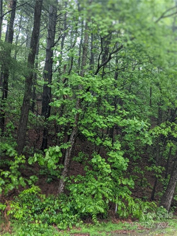 0 Melrose Mountain Road