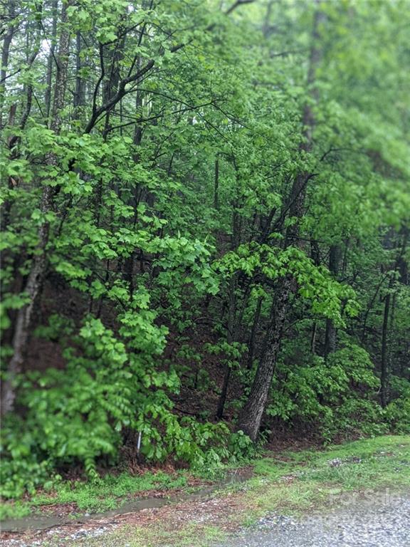 Property image 2 at 0 Melrose Mountain Road, Tryon, NC 28782