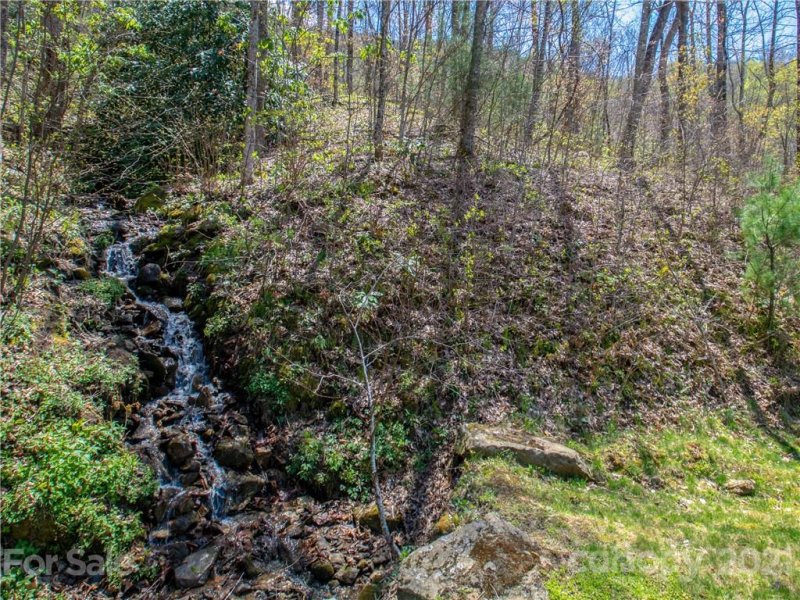 Property image 3 at 299 High Hickory Trail, Swannanoa, NC 28778