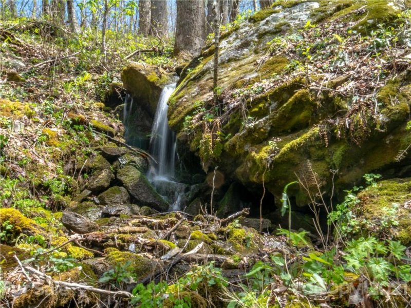 Property image 5 at 299 High Hickory Trail, Swannanoa, NC 28778