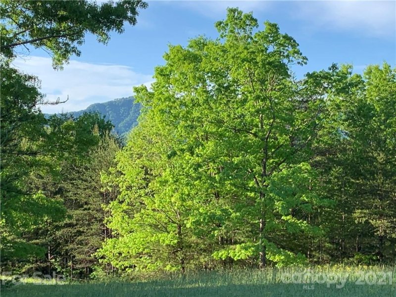 Property image 3 at Lot 28 Fallen Tree Lane, Mill Spring, NC 28756