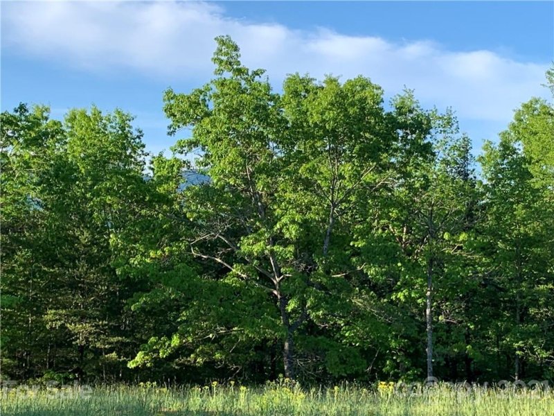 Property image 4 at Lot 28 Fallen Tree Lane, Mill Spring, NC 28756