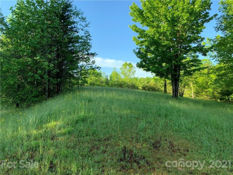 Property image 5 at Lot 28 Fallen Tree Lane, Mill Spring, NC 28756