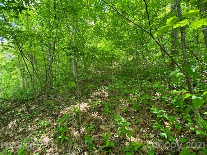 Property image 5 at 1154 Old Tannassie Road, Sylva, NC 28779