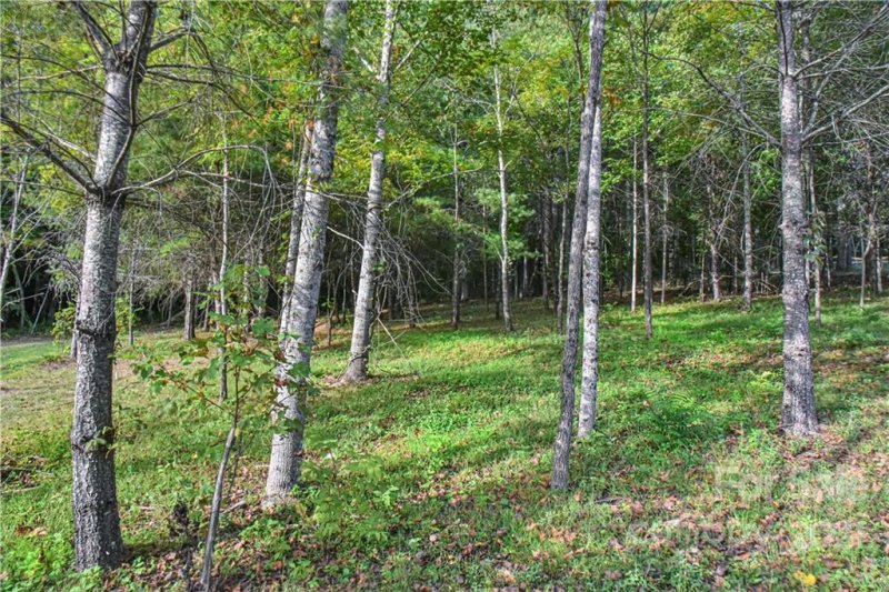 Property image 3 at 203 Fall Leaves Drive, Fairview, NC 28730