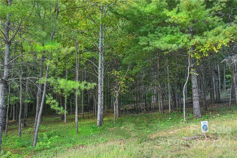 Property image 4 at 203 Fall Leaves Drive, Fairview, NC 28730