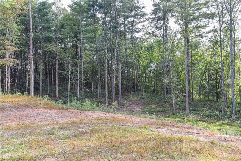 Property image 5 at 203 Fall Leaves Drive, Fairview, NC 28730