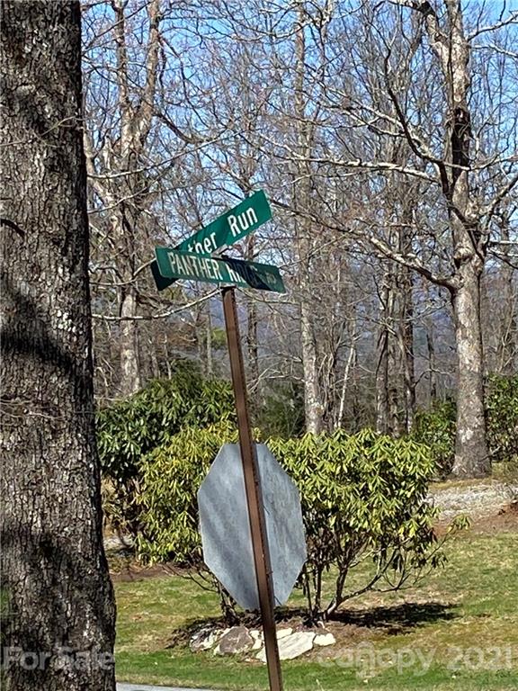 Property image 4 at Lo 38 Panther Run, Brevard, NC 28712