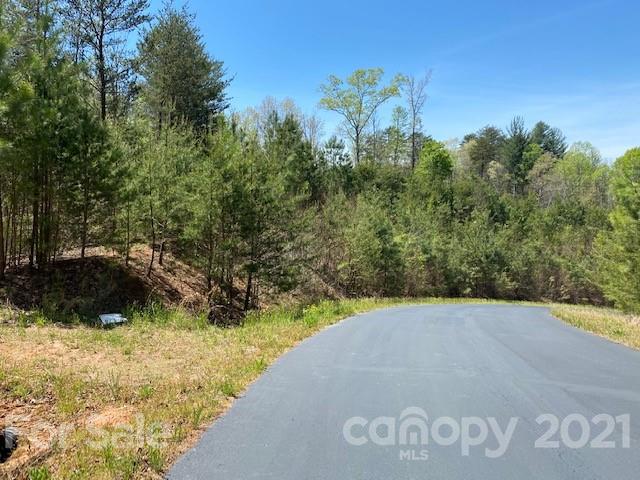 Property image 2 at 0000 S Cross Creek Trail, Mill Spring, NC 28756