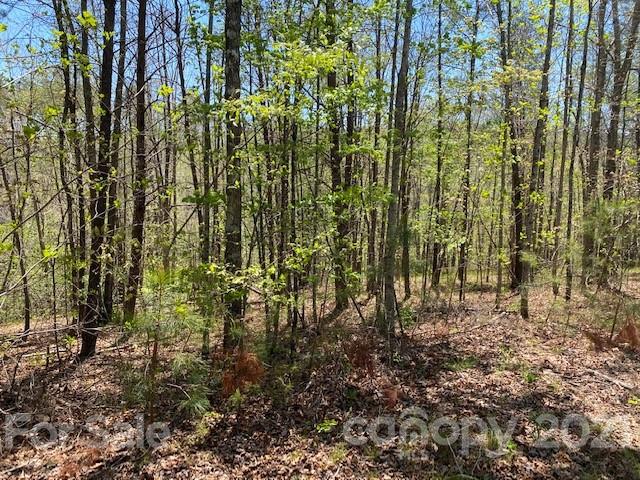 Property image 3 at 0000 S Cross Creek Trail, Mill Spring, NC 28756