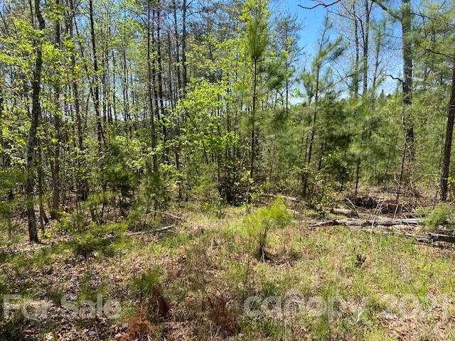 Property image 5 at 0000 S Cross Creek Trail, Mill Spring, NC 28756