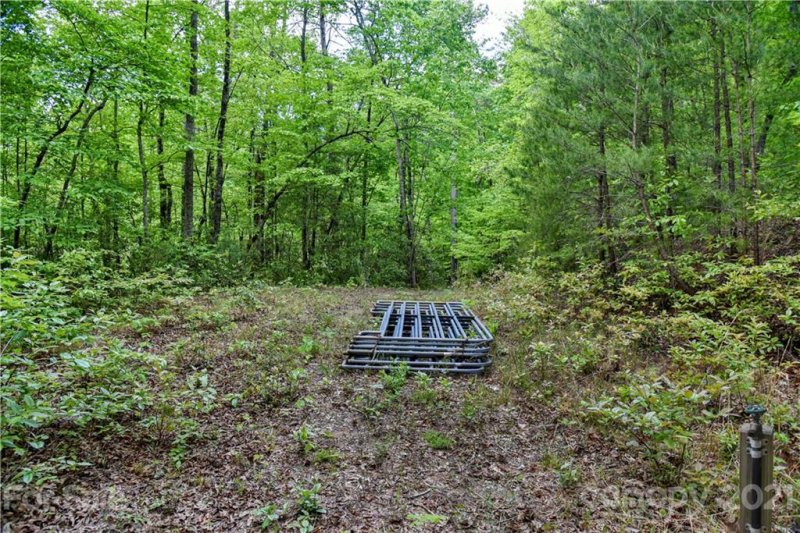 Property image 5 at 184 Deep Woods Lane, Saluda, NC 28773