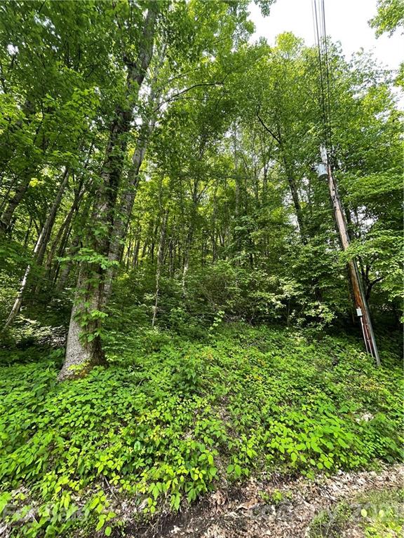 Property image 2 at 00 Calm Creek Road, Waynesville, NC 28785