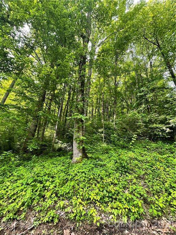 Property image 3 at 00 Calm Creek Road, Waynesville, NC 28785