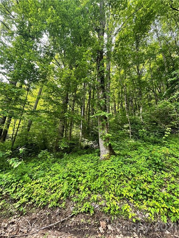 Property image 4 at 00 Calm Creek Road, Waynesville, NC 28785