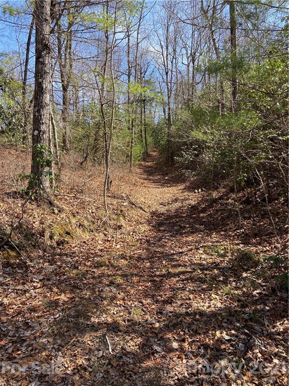 Property image 3 at Lo 39 Panther Run, Brevard, NC 28712