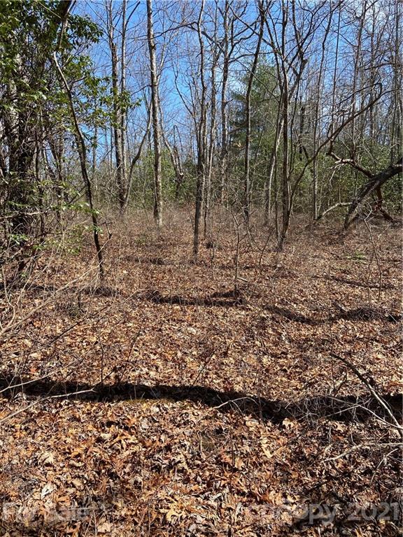 Property image 4 at Lo 39 Panther Run, Brevard, NC 28712