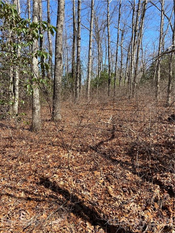 Property image 5 at Lo 39 Panther Run, Brevard, NC 28712