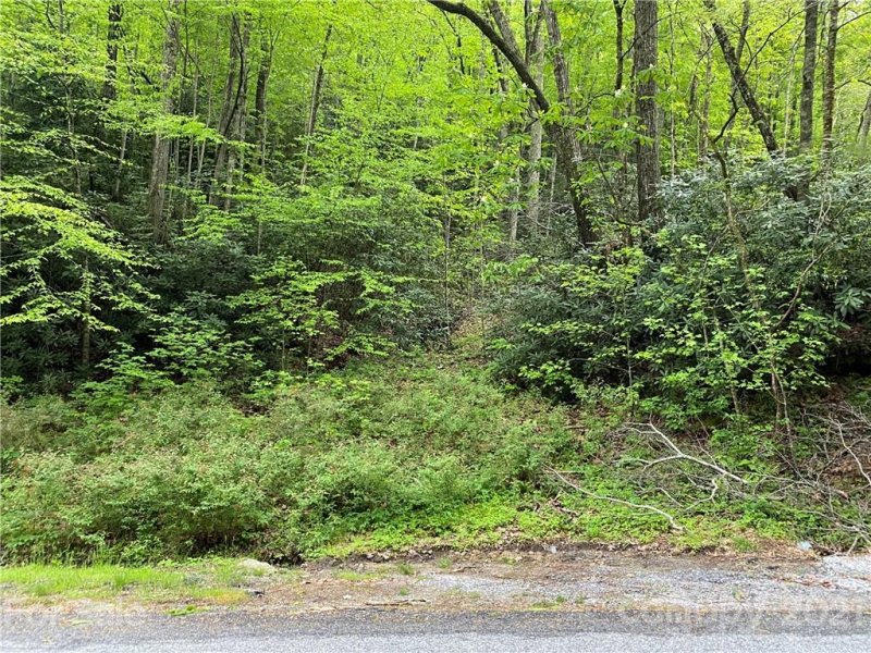 Property image 5 at 000 Holiday Drive, Hendersonville, NC 28739