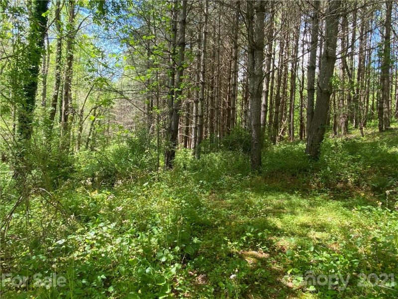 Property image 2 at Lot 22 Piccadilly Place, Brevard, NC 28712