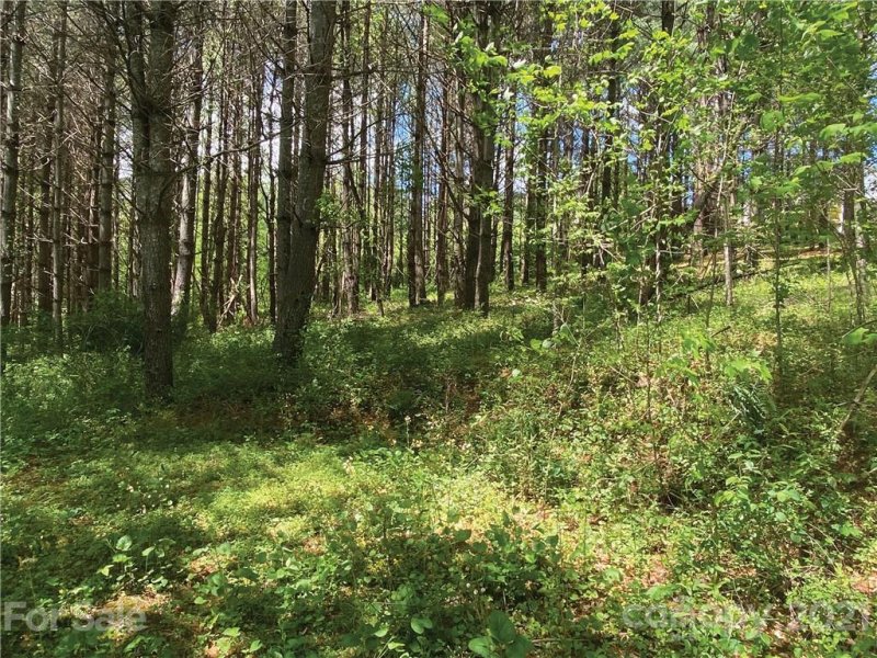 Property image 3 at Lot 22 Piccadilly Place, Brevard, NC 28712