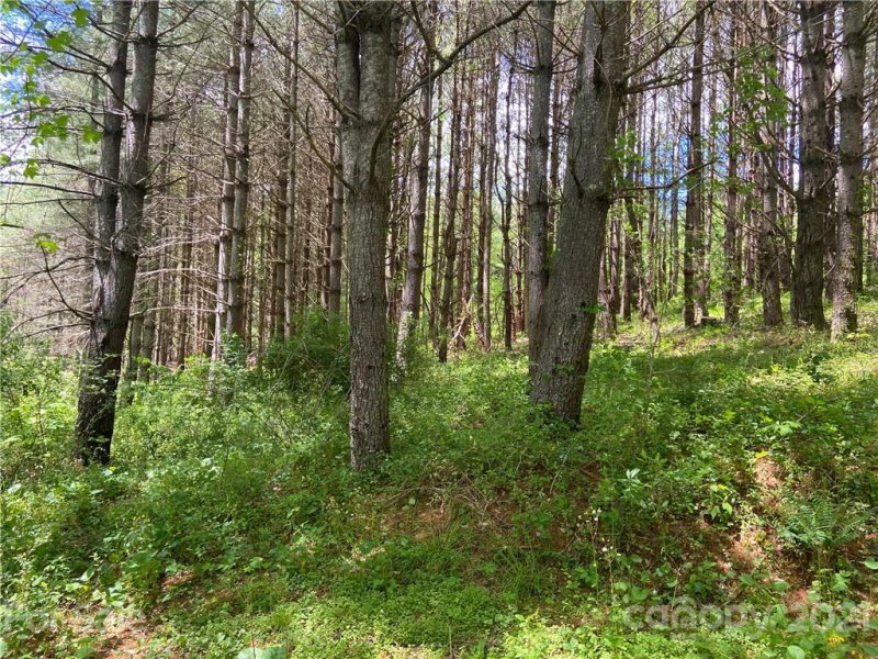 Property image 4 at Lot 22 Piccadilly Place, Brevard, NC 28712