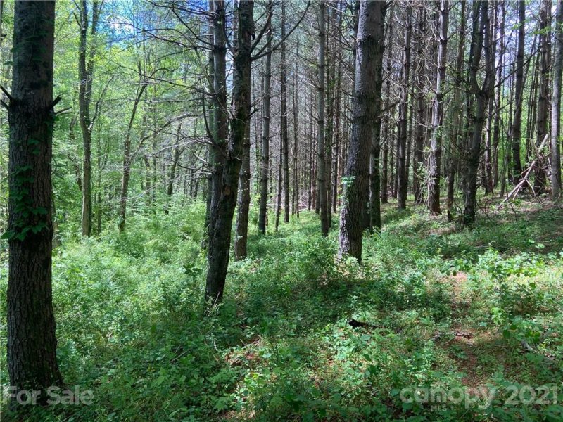 Property image 5 at Lot 22 Piccadilly Place, Brevard, NC 28712