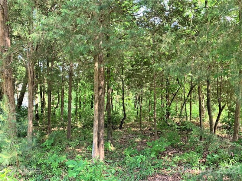 Property image 5 at 6881 Pine Moss Lane, Clover, SC 29710