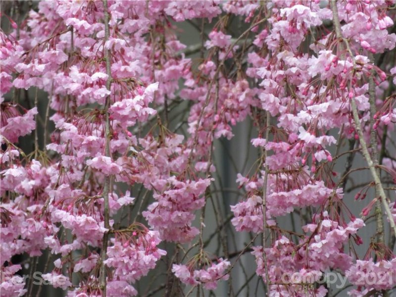 Property image 3 at 27 Sunview Circle, Arden, NC 28704