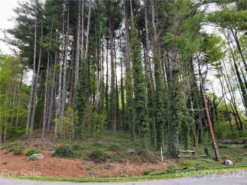 Property image 4 at 00 Worsham Drive, Waynesville, NC 28786