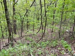 Property image 4 at 1136 Trillium Court, Columbus, NC 28722